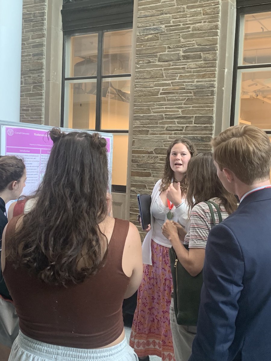 So so proud of our own undergraduate researcher, Hannah Davis, gave a presentation on her honors thesis, discovering a unique role of Hyaluronic acid in breast tumor invasion!