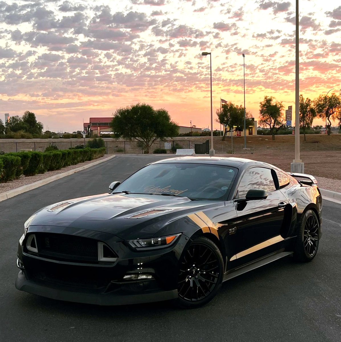 MBMustangWeek's tweet photo. A Mustang isn't just a car, it's a way of life. And I choose to live it to the fullest!👊 

📷  @sleipnir_5.o
#mustangweek #powerautomedia #fordmustang #americanmuscle #s550mustang #mustangnation #mustanglovers https://t.co/Zf1R2t5HKL