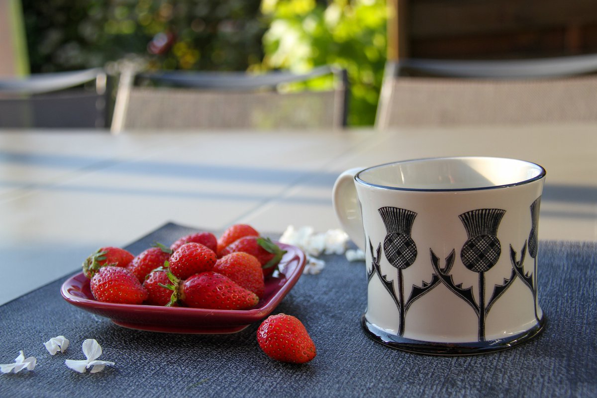 May is #NationalStrawberryMonth, and our sale teas are a bushel of flavor! mailchi.mp/discoverteas/m… Plus, our May preorder special will have you over the moon!