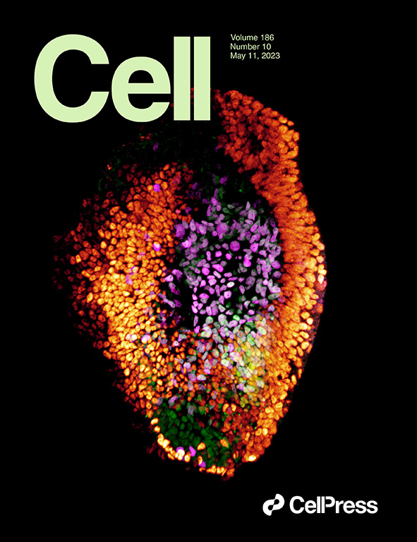 leo_jwu's tweet photo. Excited to share our successful collaboration with @taotankm, resulting in a joint publication with Wang lab @CAS and featured as @Cell's cover story! Kudos to all authors involved! Using different methods, both studies showcase ex utero development of monkey embryos to day 25! https://t.co/DdHmJZVrfg