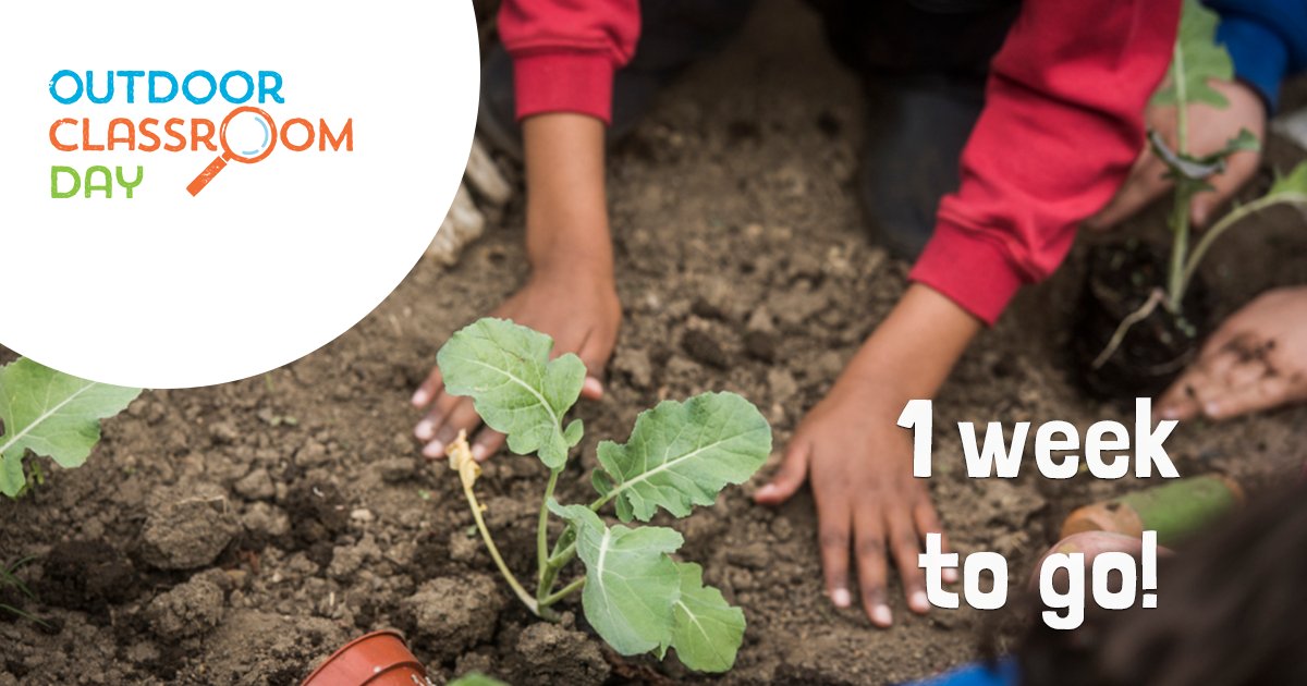 The countdown is on - only one week to go until the next #OutdoorClassroomDay 🎉 Are you taking part next Thursday and showing the world why children need time outdoors EVERY day? #OutdoorLearning #PlayMatters