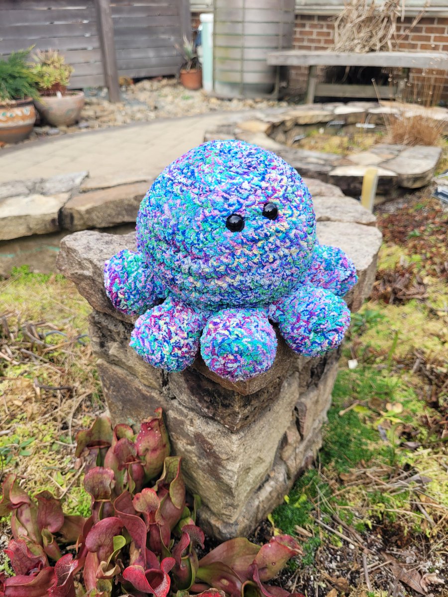 OddballCritters's tweet photo. Be as colorful as Crayon the Octopus! 🖍🖍🖍 https://t.co/raMqHnTT1W