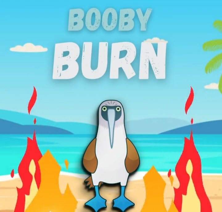 Crishty66's tweet photo. @yourcryptodj @boobyerc Don't miss this gem token as it is worthy to ape!

#Boobyerc #PEPE #Boobymeme $Booby https://t.co/eWRcM8TEpm