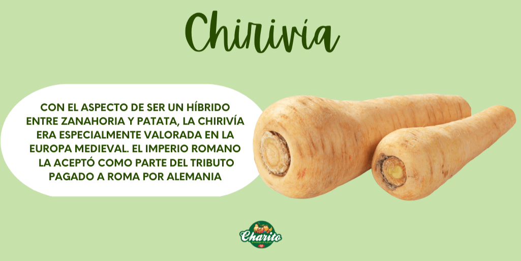 FrutasCharito's tweet photo. La chirivía es una de esas hortalizas poco conocidas cuyas propiedades son buenísimas 🔝 para nuestro organismo ✅ Hoy te contamos alguna curiosidad sobre ella 😉: https://t.co/gPu1CCnd7H
#frutascharito #curiosidades #chirivia #hortalizas #mercadodechamartin #madrid https://t.co/afsqXiqKAF