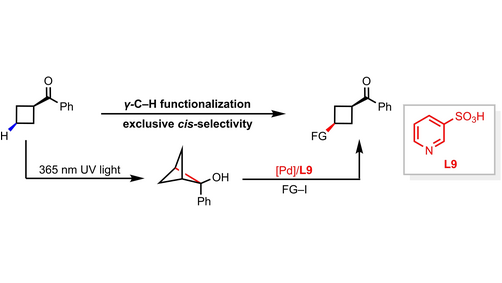 Formal gamma-C-H Functionalization of Cyclobutyl Ketones: Synthesis of cis-1,3-Difunctionalized Cyclobutanes (Jin-Quan Yu and co-workers) <a href="/scrippsresearch/">Scripps Research</a> <a href="/YulabJin/">Yulab</a> onlinelibrary.wiley.com/doi/10.1002/an…