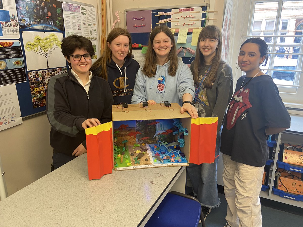 QCL_STEM's tweet image. As we say goodbye and good luck to our Year 13 students who start study leave today, Zoology Club celebrated the wonderful ‘Evolution of the whale’ diorama they made over the recent months. Big thanks too to Mrs Tran for wiring up the lights.
