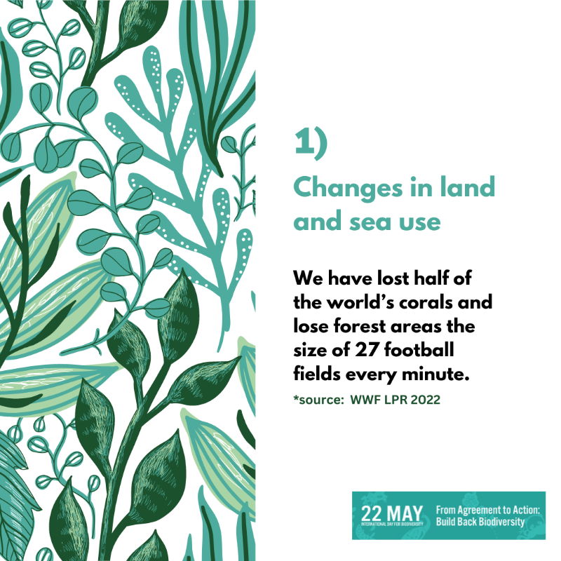 UNEP's tweet photo. Biodiversity is being lost at unprecedented rate.

Find out more about the key drivers of nature loss and what we can do to #BuildBackBiodiversity.