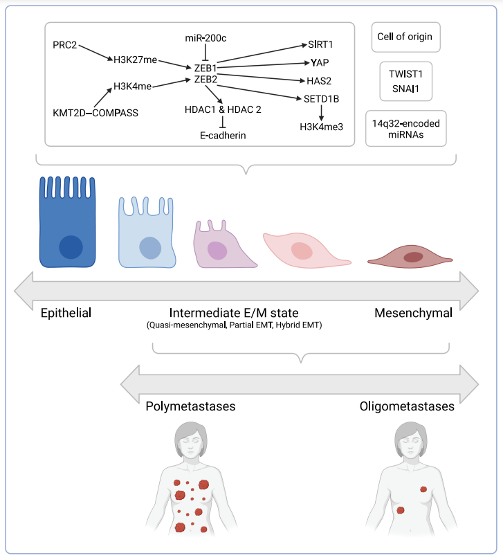 C. Jillian Tsai, MD, PhD tweet media