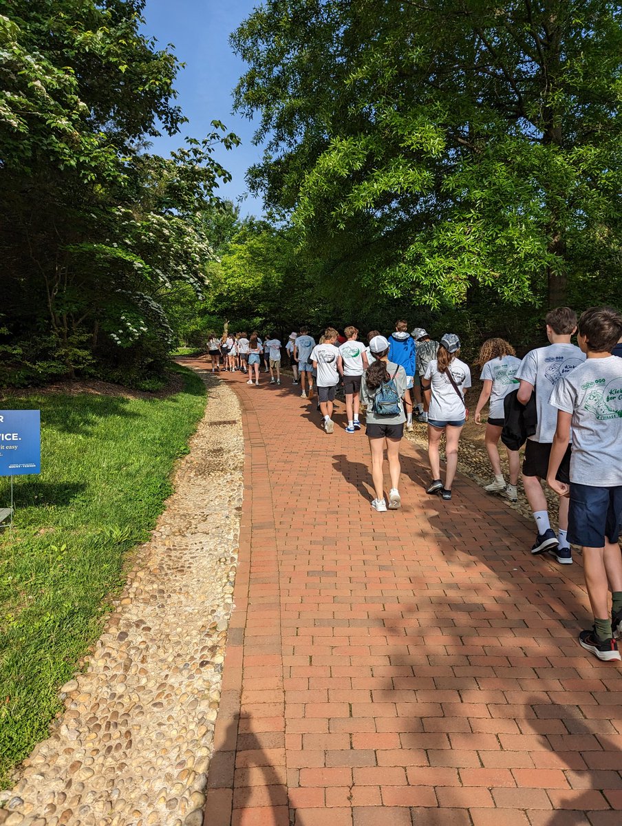 Jarrod Mulheman tweet media