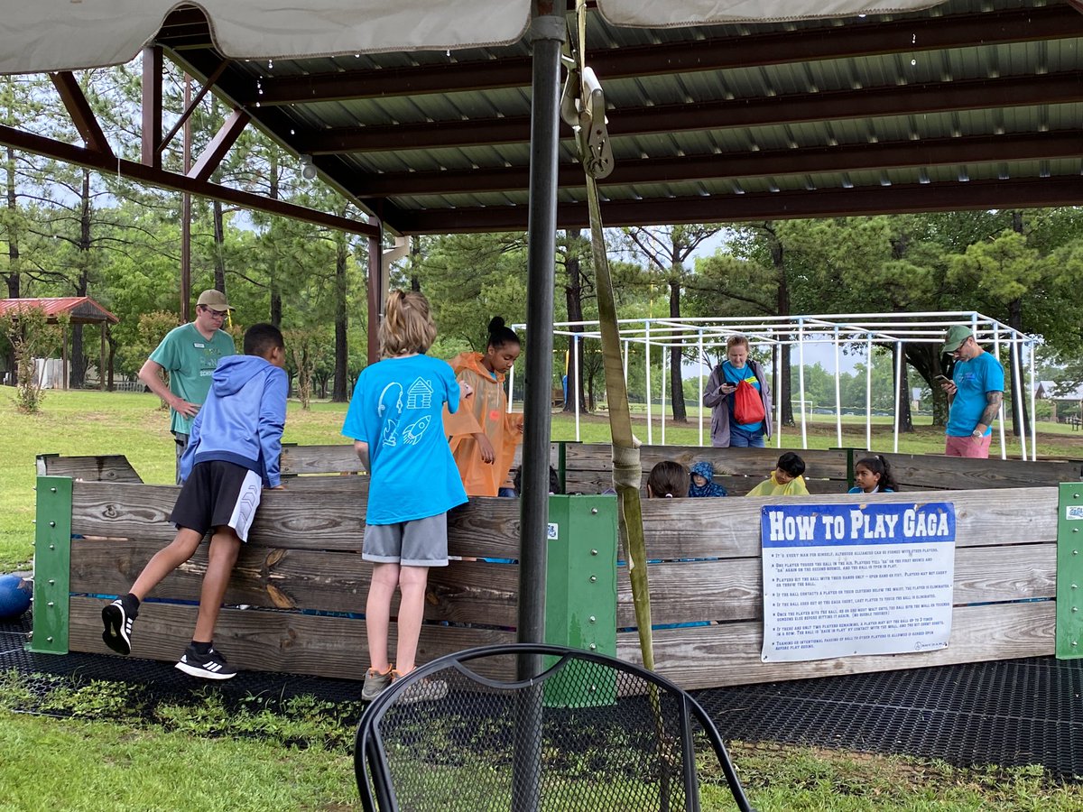 Rachel Perry tweet media