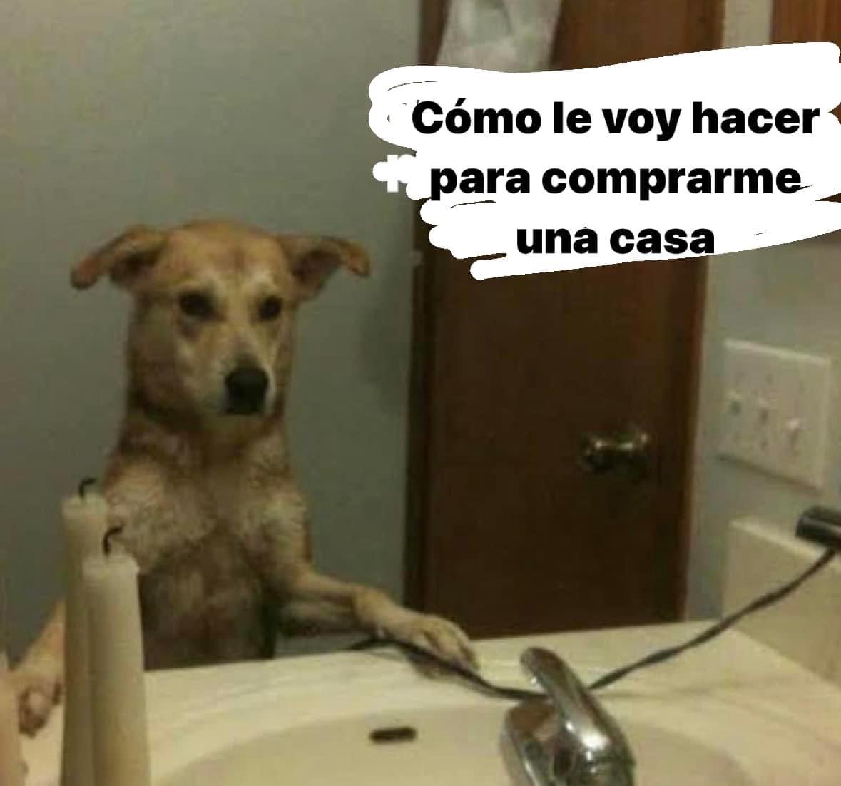 Mi pensamiento diario: