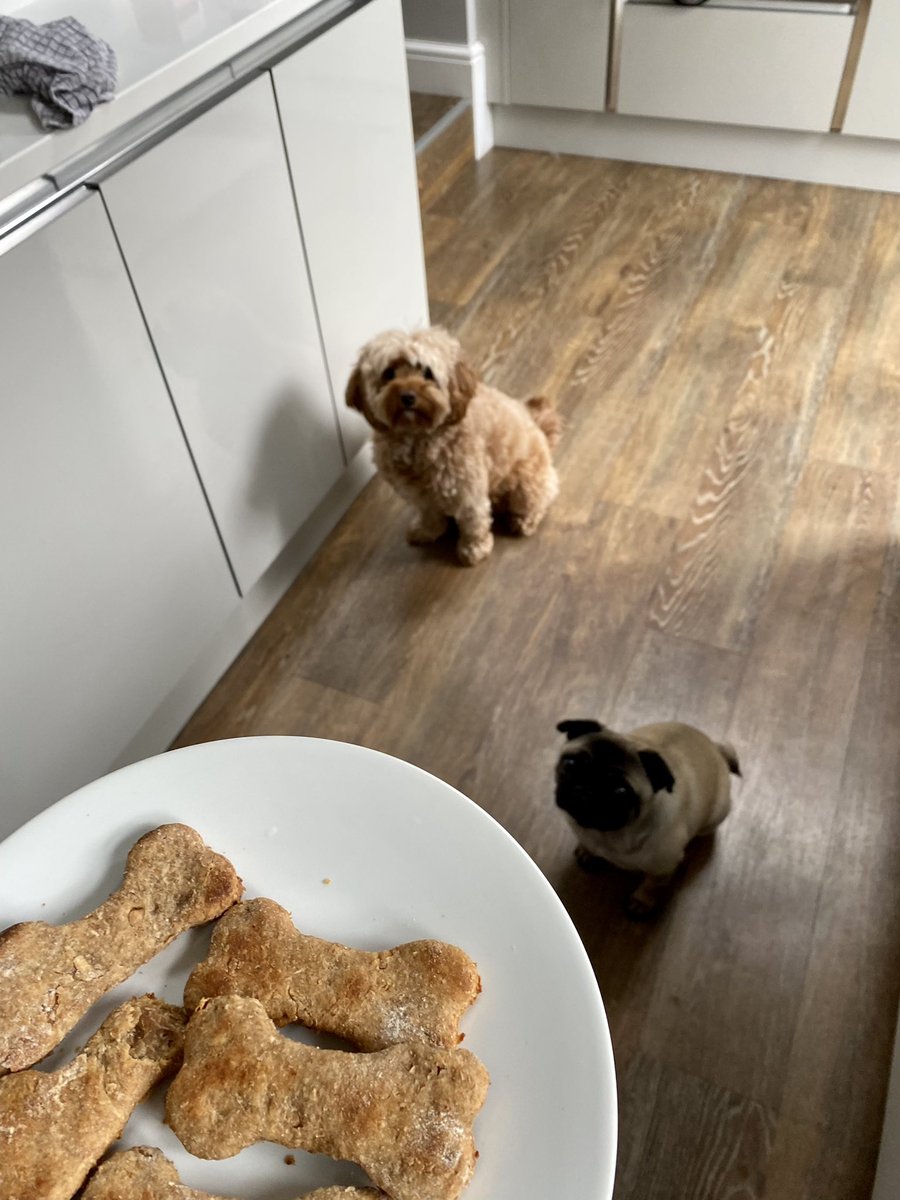 We love Mama for making our favourite peanut butter treats 🦴 🐶🐶 #dogslife #dogsoftwitter