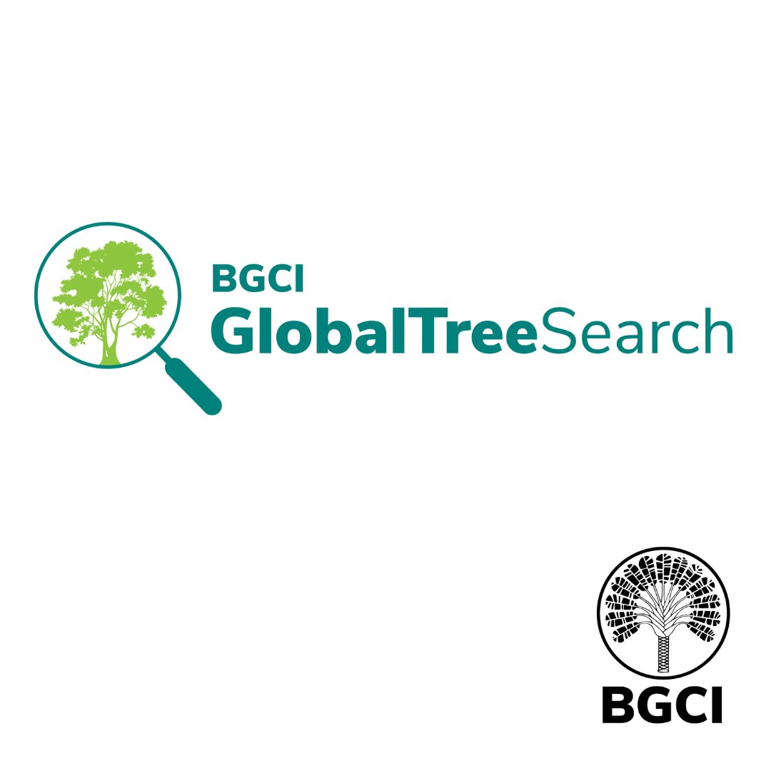 GTA_GTSG's tweet photo. A new version of the GlobalTreeSearch species list is now available, containing 57,922 accepted tree species. Download the complete list here:
https://t.co/xHYJ9GBNw1 https://t.co/Ks8O6v4bXd