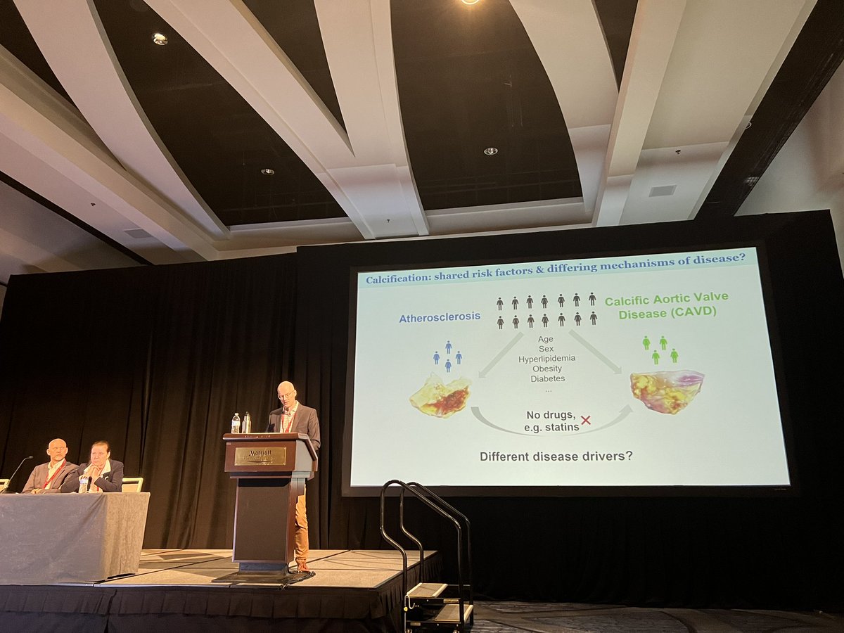 Tour de Force presentation by @MarkCBlaser from @AikawaElena’s group showing the power of #multiomic and single nuc seq data to identify immune dysregulation in congenital #CAVD of patients with Bicuspid Aortic Valves. #VascularDiscovery23 @AHAMeetings @AHAScience @bwhcvls