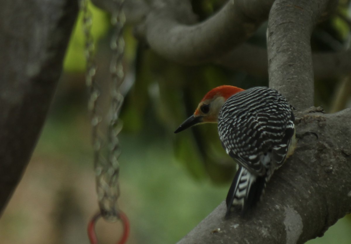 Mark Nau (@mark_nau) on Twitter photo 