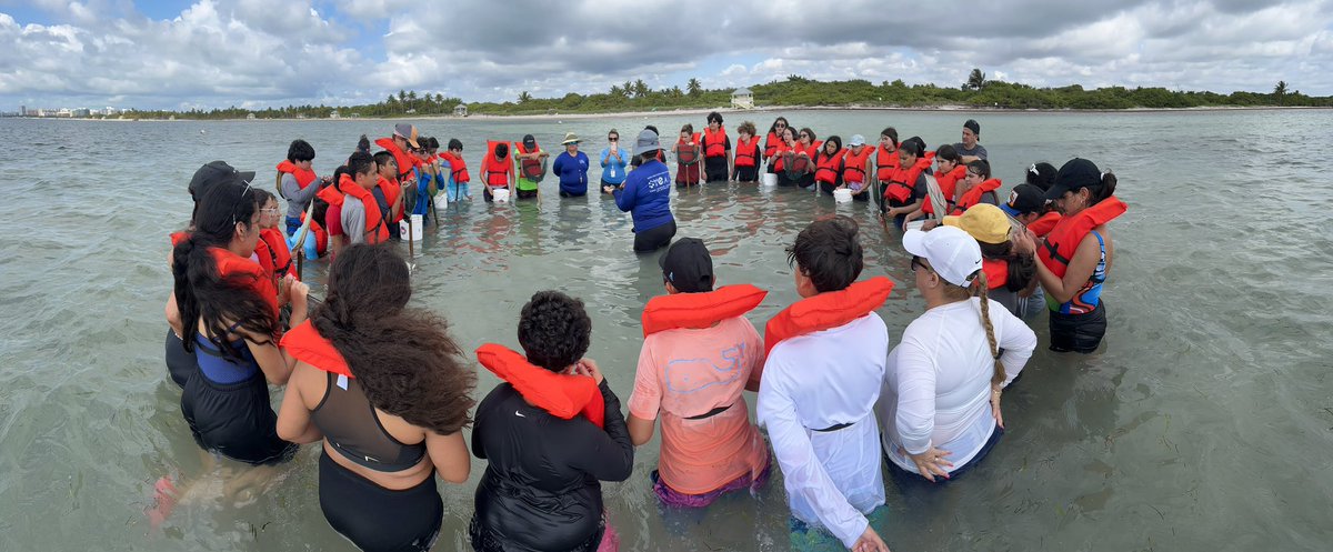 BNCEE_MDCPS's tweet photo. Our Biscayne Bay π is our classroom and the learning and experiences are unforgettable. π
We had our @MDCPS students learn first hand about our environment, being #environmentallyResponsible along with #Sustainability. @AileenVega123 @NestorEMarcia @MDCPSSTEAM @MDCPSSci https://t.co/G3FMG8KFd0