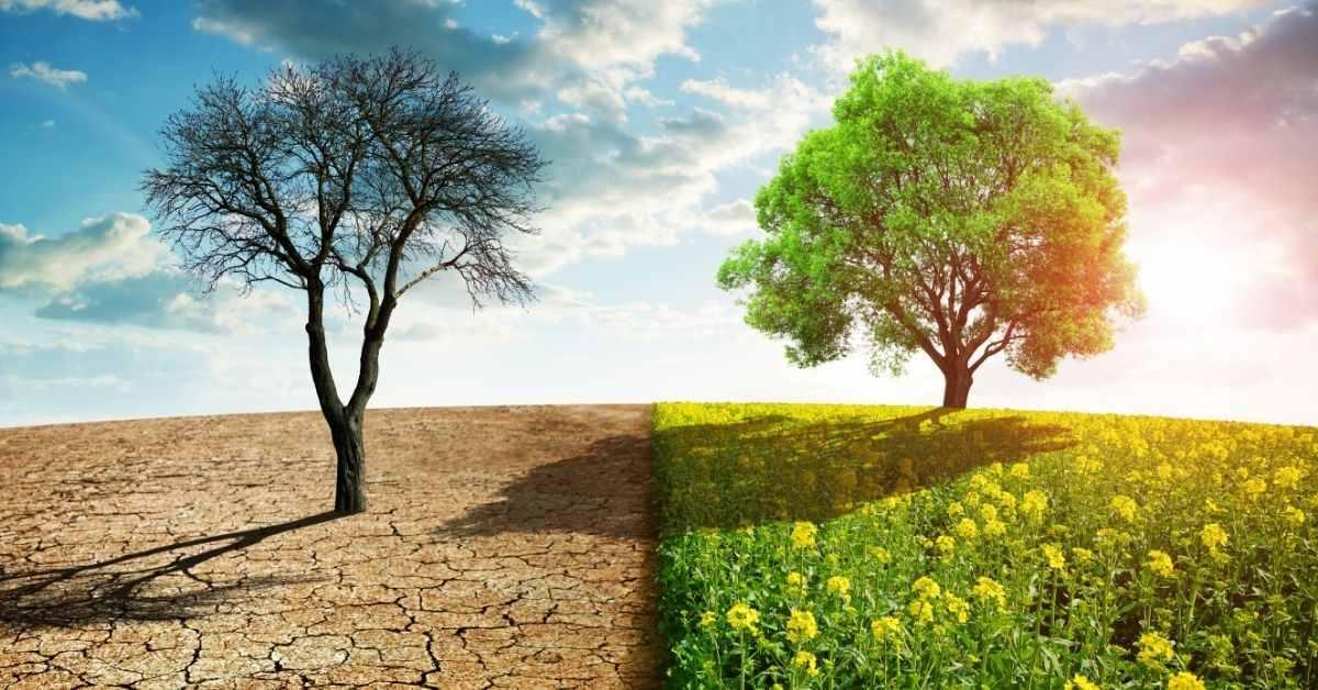 CursosCEER's tweet photo. El papel de las energías renovables en la lucha contra el cambio climático.

Artículo -> https://t.co/jEhgp7S3FJ

.
.
.
#EnergíasRenovables #EnergíaSolar #EnergíaEólica #EnergíaHidráulica #EnergíaGeotérmica #CambioClimático #DesarrolloSostenible #cursosceer https://t.co/XiuthTWVwp