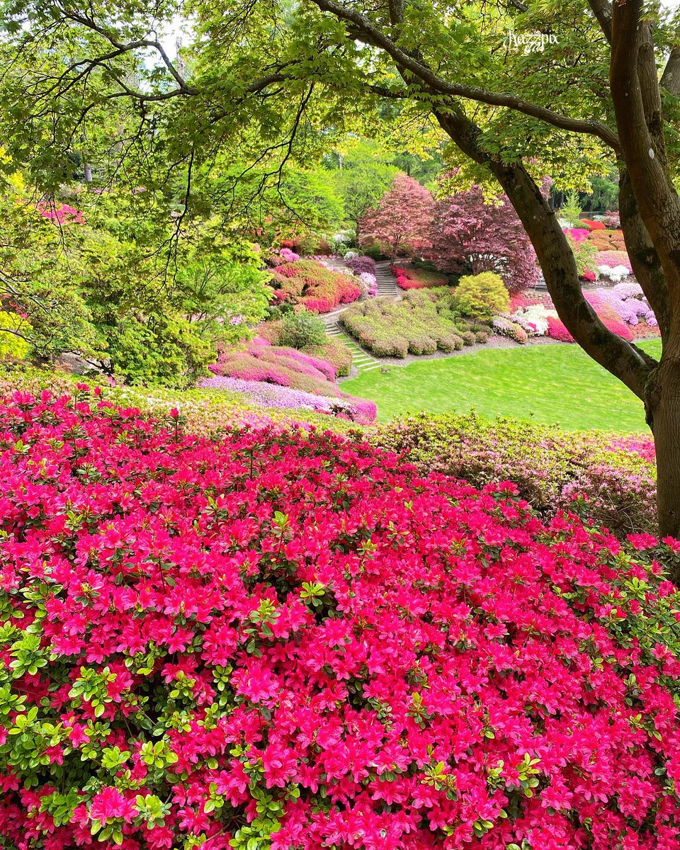 Visit Windsor tweet media