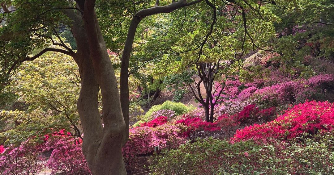 Visit Windsor tweet media