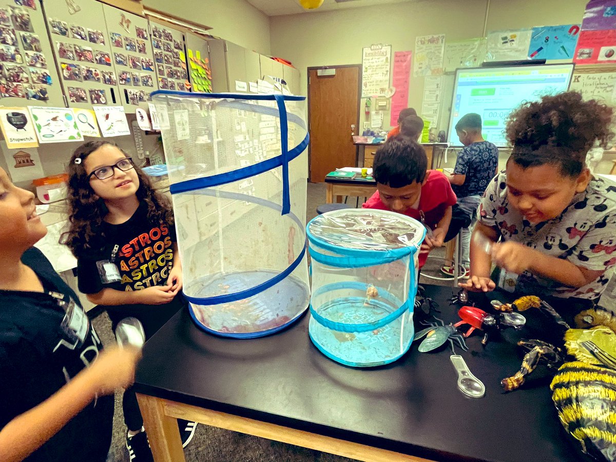 RituGan23514369's tweet photo. @PISDScienceK_4 @RituGan23514369 complete metamorphosis vs. incomplete metamorphosis! #MoralesScienceLab #MoralesRockets https://t.co/vwM1Cf8PaY