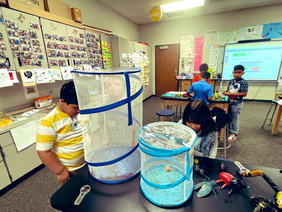 RituGan23514369's tweet photo. @PISDScienceK_4 @RituGan23514369 complete metamorphosis vs. incomplete metamorphosis! #MoralesScienceLab #MoralesRockets https://t.co/vwM1Cf8PaY