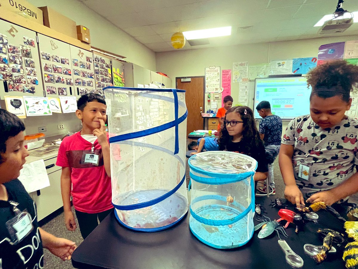 RituGan23514369's tweet photo. @PISDScienceK_4 @RituGan23514369 complete metamorphosis vs. incomplete metamorphosis! #MoralesScienceLab #MoralesRockets https://t.co/vwM1Cf8PaY