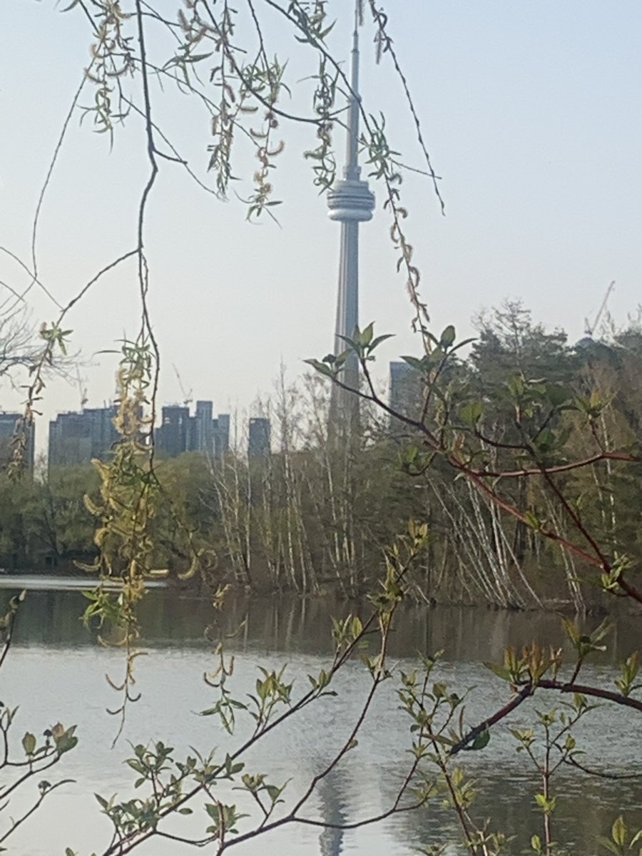 Last night we did Sunset photography