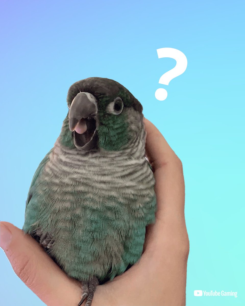 YouTube Gaming tweet media
