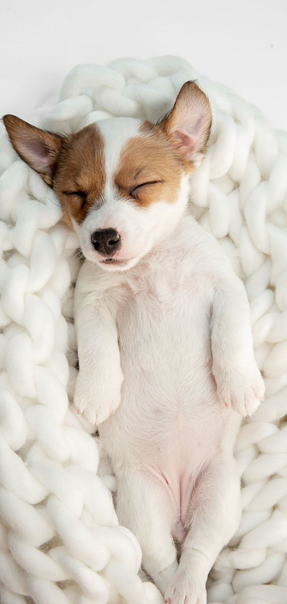 Werde gleich ins Bett gehen
Angenehme Träume, wünsche ich euch allen.