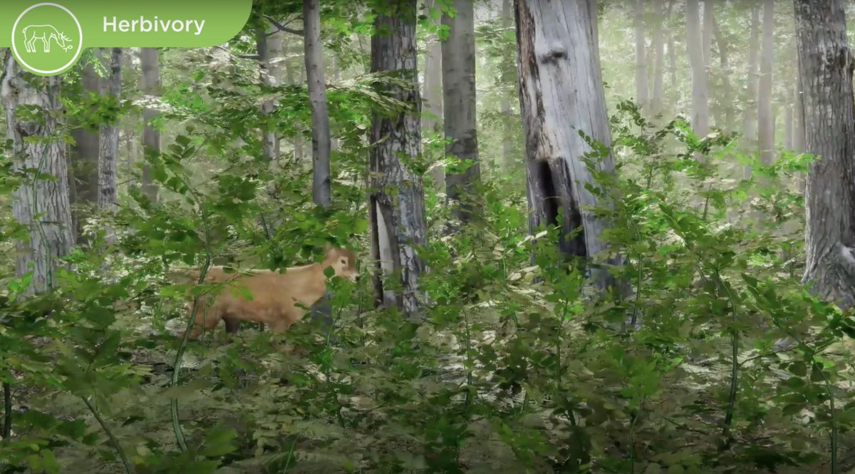 The Forest + Climate Visualization Partnership (FCVP) now has a YouTube channel! This collaboration between CAFRI <a href="/sunyesf/">SUNY ESF</a> &amp; FCCP focuses on forest climate visualization education through immersive virtual reality experiences. Subscribe here: bit.ly/3o1j6e2