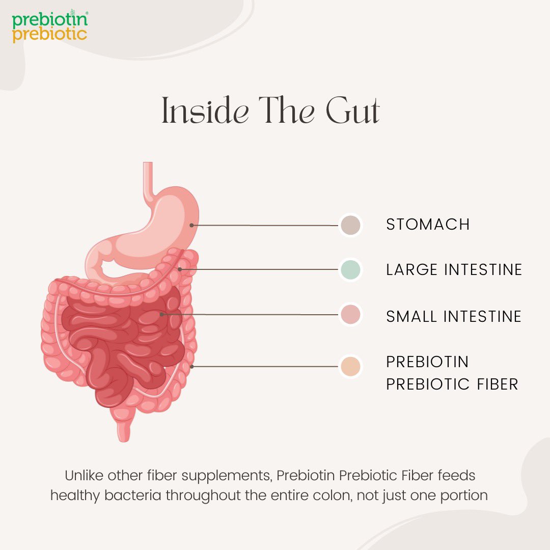 Prebiotics's tweet photo. Unlike other fiber supplements, Prebiotin Prebiotic Fiber feeds healthy bacteria throughout the entire colon, not just one portion https://t.co/PqnviMLB1M