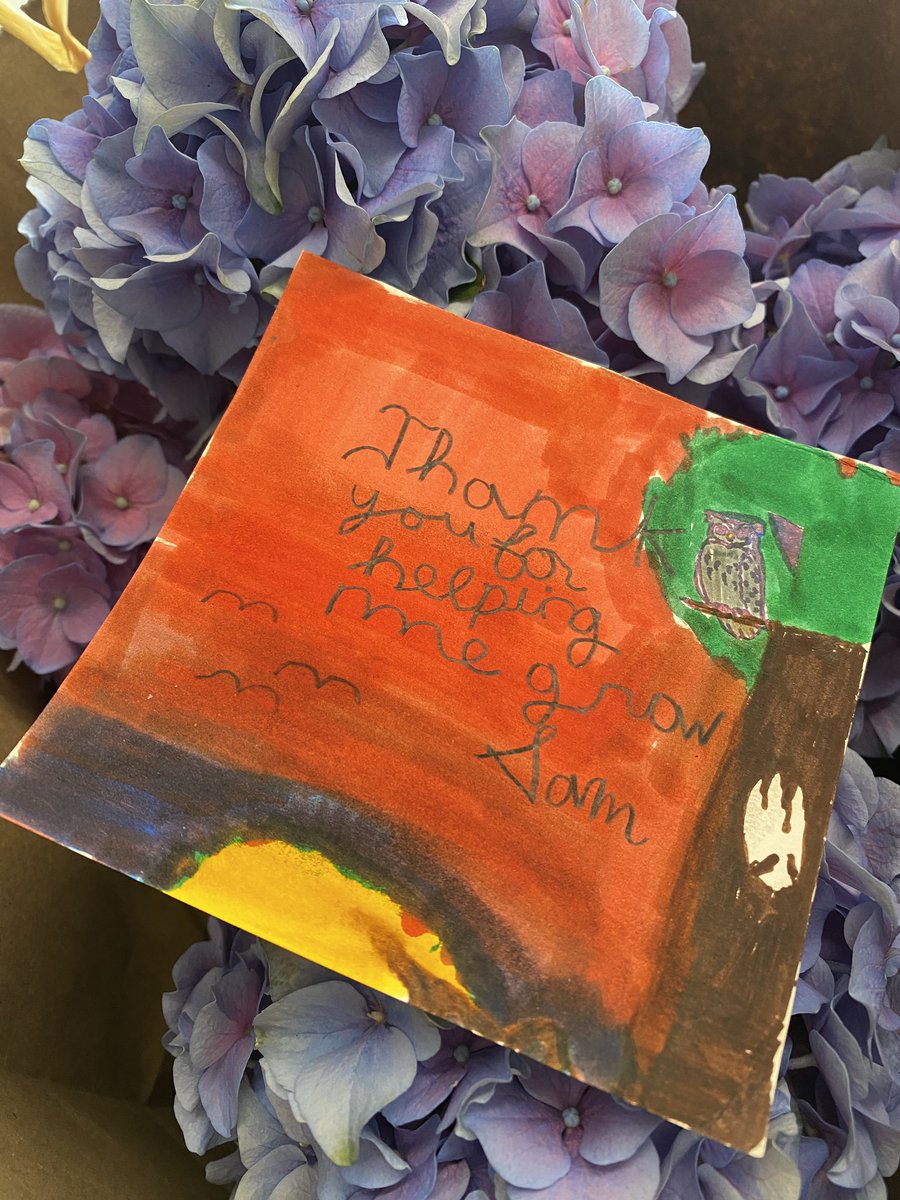 MsDTeachesArt's tweet photo. Thank you for the beautiful hydrangeas and hand made card! 💕 https://t.co/bU5e3WoGR8