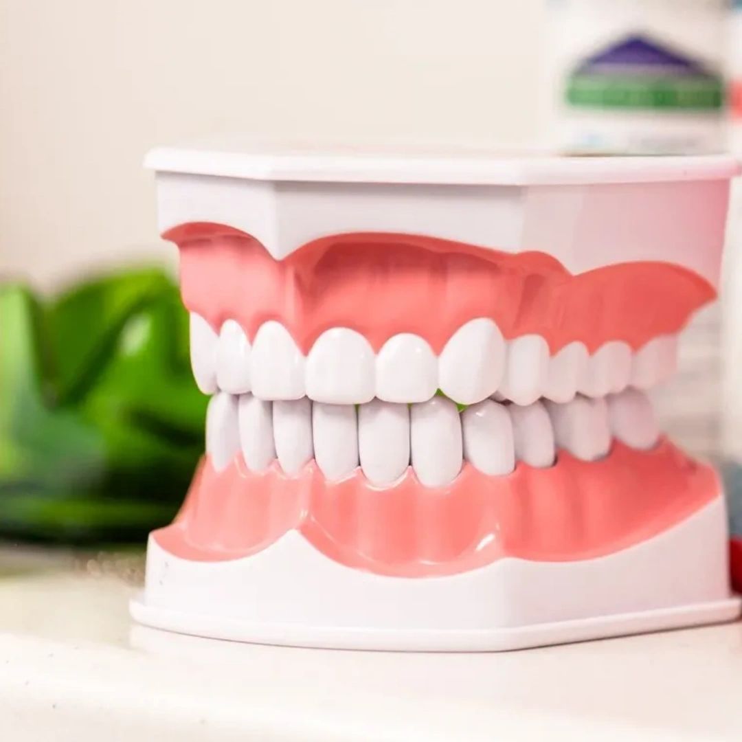 sandquistdds's tweet image. Although it's paper-thin, the enamel that covers our teeth makes them the strongest part of our body. The more you know! 🦷