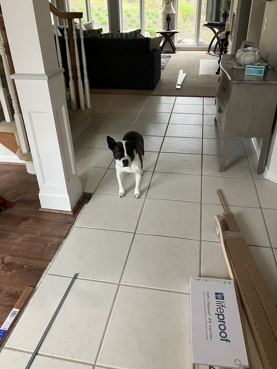 Certified Flooring Installation tweet media