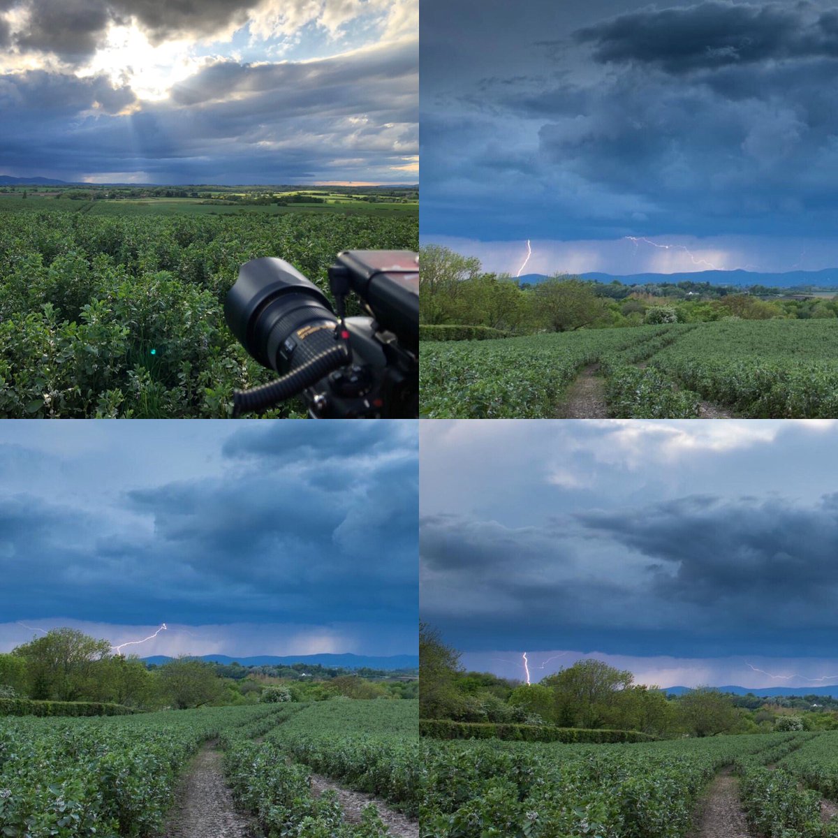 This evenings storm over Ledbury / Malvern, taken from Perdhore, Worcestershire #lightning #Ledbury #Malvernhills #Worcestershire #WorcestershireHour