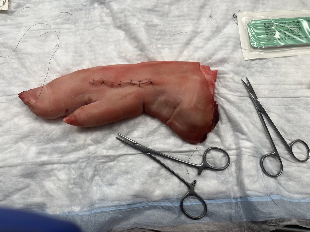 Harris Alam tweet media