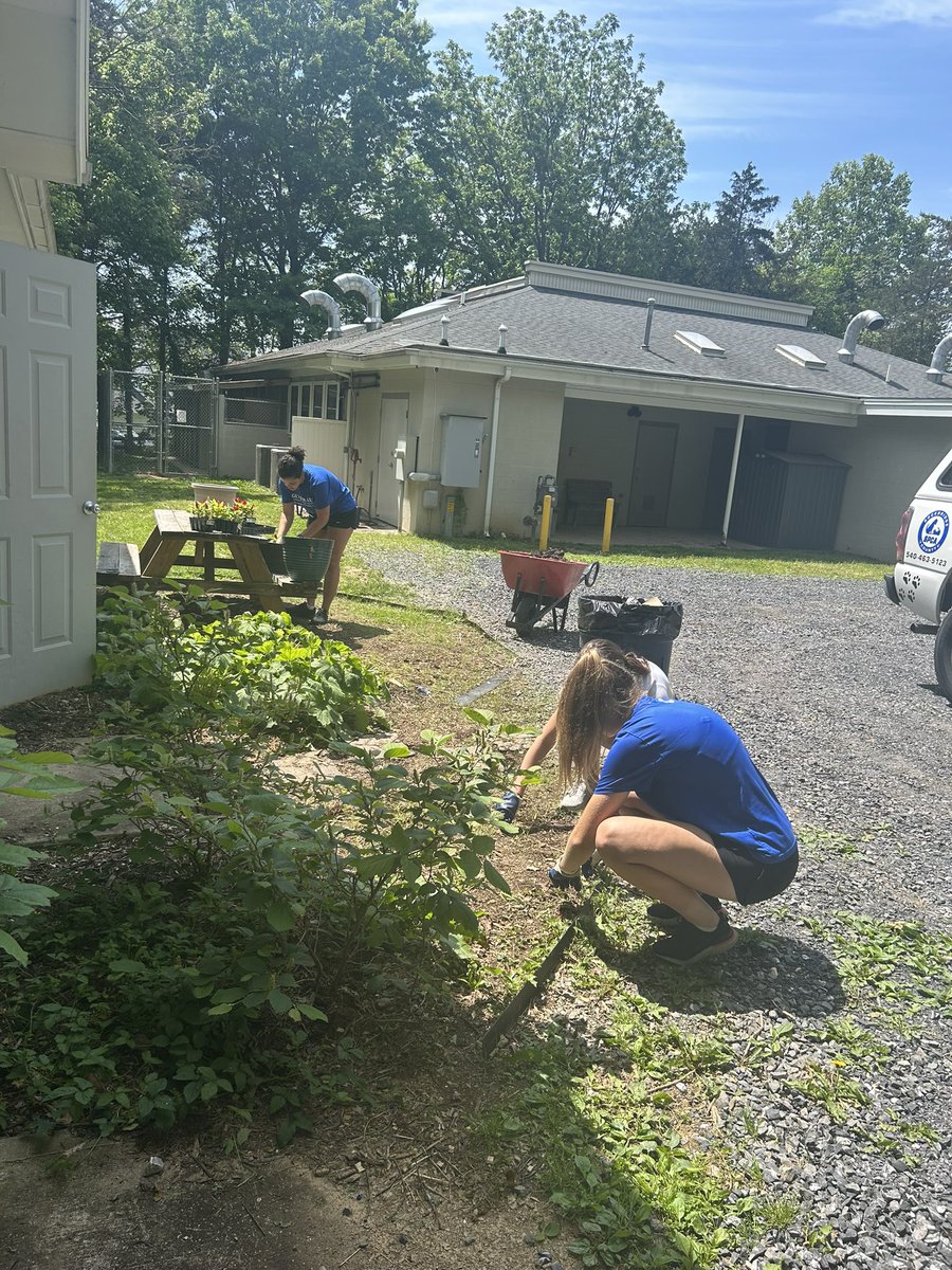 This week, our team spent some time volunteering with SPCA (Society for the Prevention of Cruelty to Animals)!
We spent time beautifying their grounds and dog-walking areas by planting flowers, pulling weeds, and cleaning
#GivingBack #SpringTerm