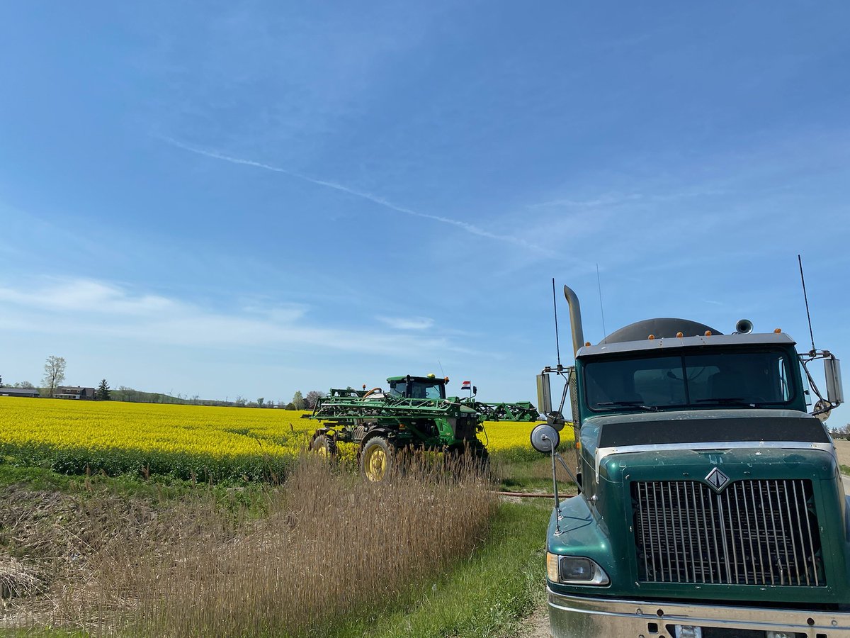 NutriAg's tweet photo. Bryan Stennett @BryanSten3, reviewing applications on canola in Blenheim, ON. Tissue samples were taken Monday, results received Wednesday with NutriAnalytics AI driven recommendations (which included ManzinphosMaxPlus & MagMax) and applied Today. #NutriAnalytics #Farmsmart https://t.co/Qrbk8DBXoG