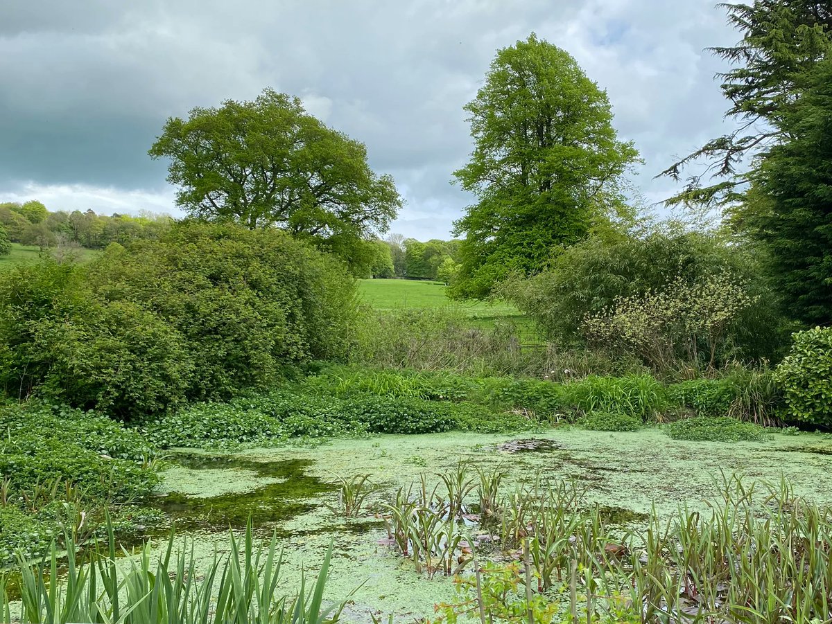 Another extremely enjoyable visit to #LeightonHall this afternoon complete with a guided tour of the house led by the owner and rounded off with a slab of caramel shortbread in the tearooms. Highly recommended. 🌤 🏰 🍰 <a href="/VisitLancashire/">visitLancashire.com</a> <a href="/Historic_Houses/">Historic Houses</a>