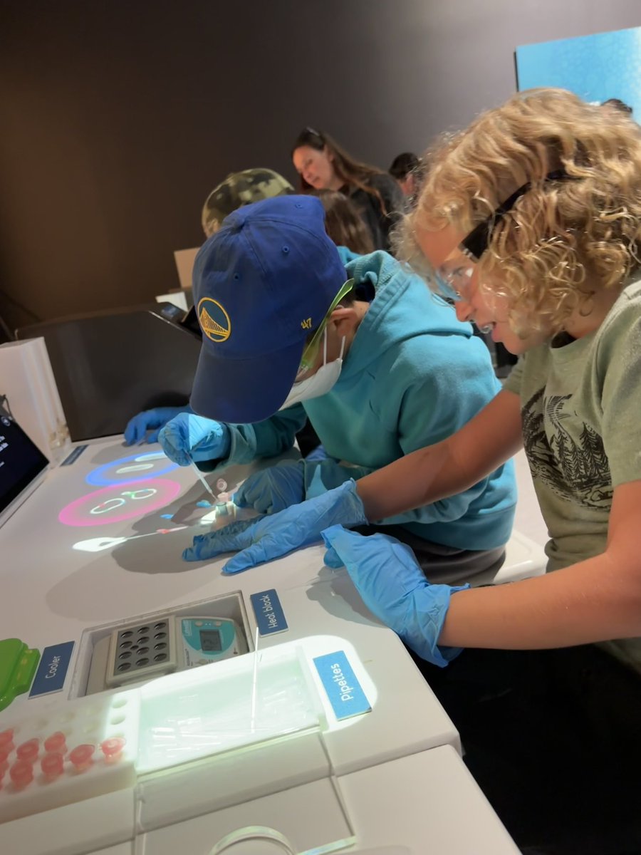 Kristy Chia tweet media