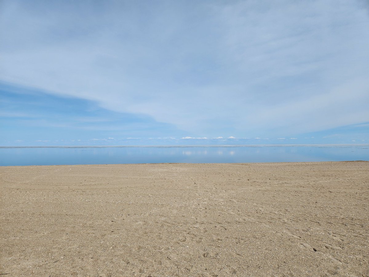 Tyler M. tweet media