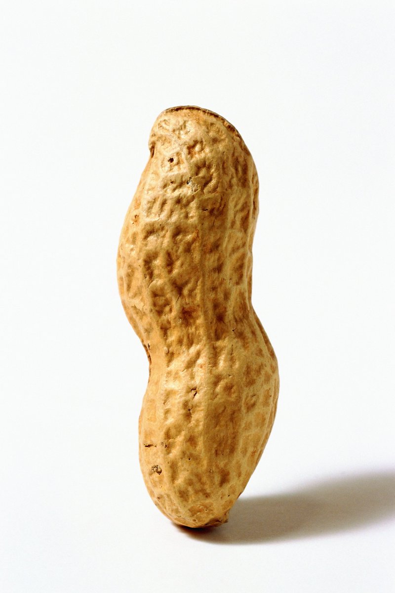 axolottto's tweet photo. @thekingcacti PEANUT ALLERGIES R SO FUNNY TO ME LIKE U ALLERGIC TO THIS...... https://t.co/o2CmzYoNZb