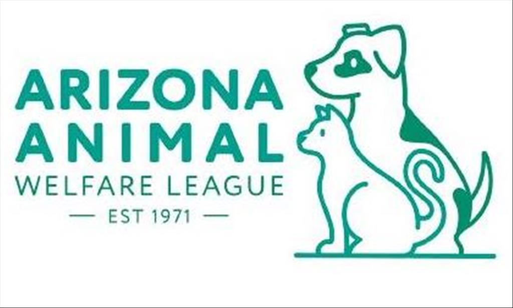 iHireJobAlerts's tweet image. Job Seekers: Surgical Veterinary Technician (#Phoenix, Arizona) Arizona Animal Welfare League #job #AnesthesiaMonitoring #KennelDuties #IVCatheterization #KennelCleaning #DentalRadiography #DentalProphylaxis #AnimalHandling #AnimalWelfare go.ihire.com/cvgq5