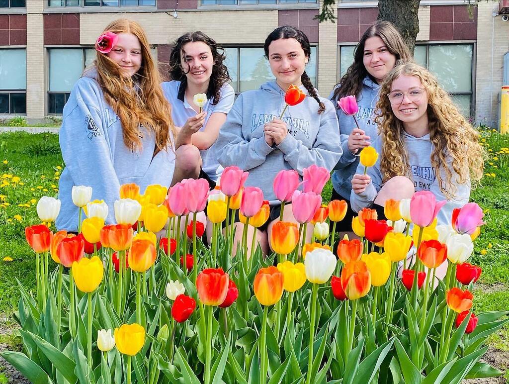 lhaemsb's tweet photo. From tiny bulbs to breathtaking blooms 🌷! Our early November planting paid off with these stunning tulips embracing the incredible weather 💐✨! https://t.co/rbbAidyhgo