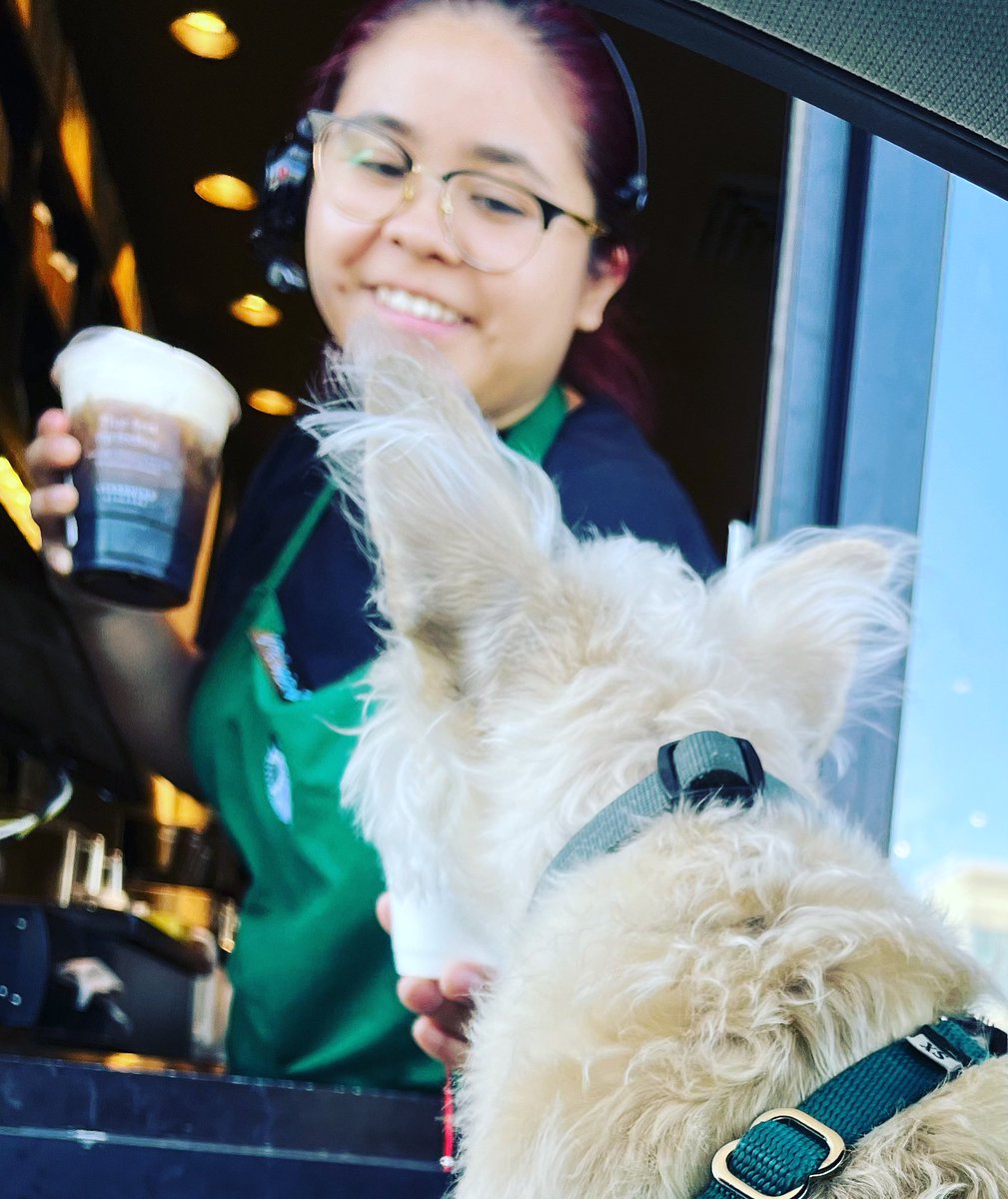 Cold brew for me, pup cup for Archie. It’s a win-win!! 😀
