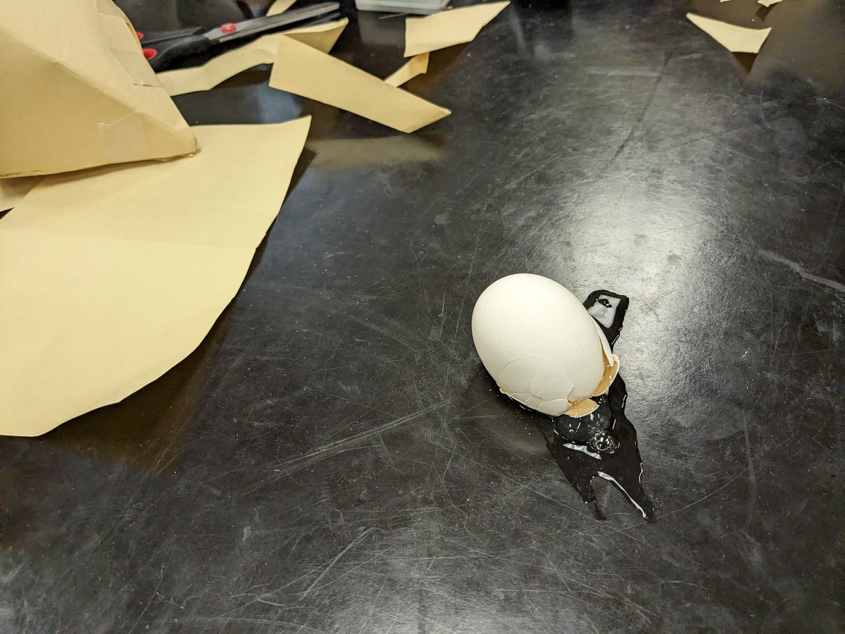 MrColautti's tweet photo. Annual egg drop challenge with grade 12 physics students. Some new records set for design ingenuity but also for number of eggs accidentally broken before competition time. Future engineers, but perhaps not future safety engineers. #sph4u #STEM #eggdrop @TCDSB https://t.co/4DYwtkEwjR