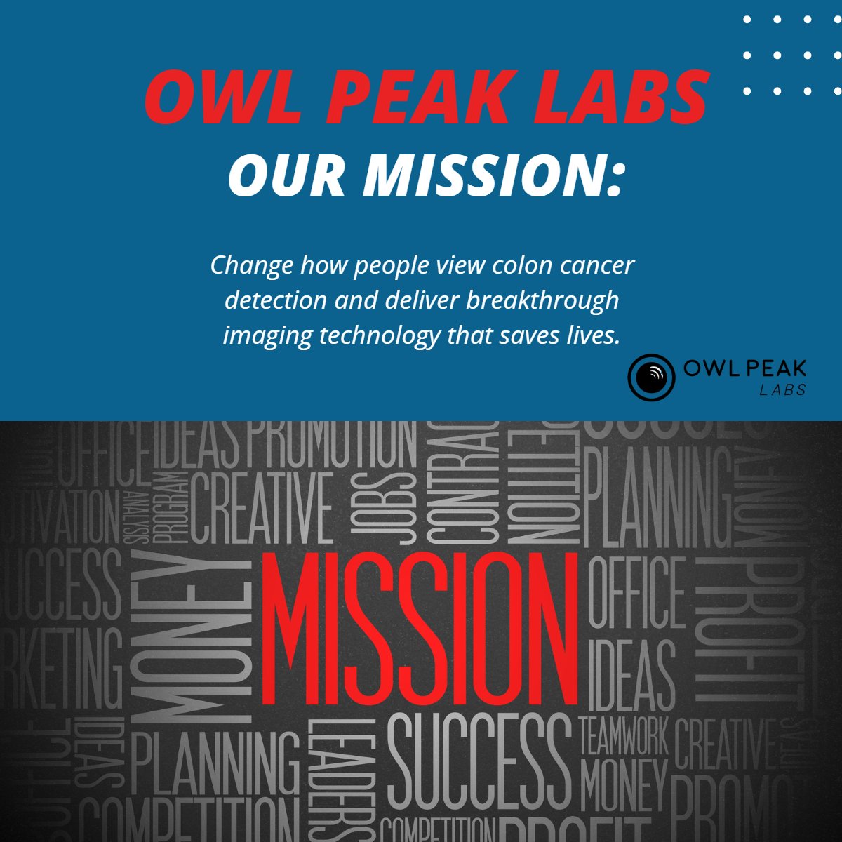 owl_peak's tweet photo. Did you know? At the beginning of every internal call at Owl Peak Labs, a volunteer states our mission. We do this to maintain focus and unity of purpose so that we can more quickly develop and deliver our diagnostic technology. #mission #biotech https://t.co/M1LLXH51F6
