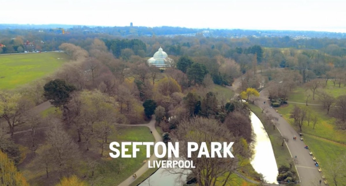 Stratus Imagery tweet media