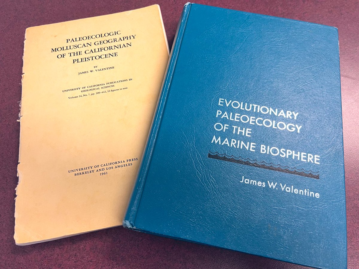 Christina Belanger, Ph.D tweet media