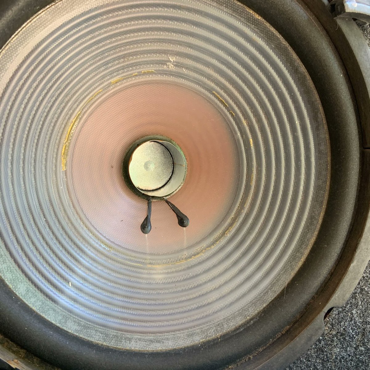 cocohankerson's tweet photo. 🔄More goodies rescued!
🔄These items are from my free pickup service
🔄It’s always a treasure hunt! Just never know what’s going to be in boxes and bags once you start sorting through everything!
#AudioGearRescue #AudioGearGeek #AudioGearShop https://t.co/eHWUWklaAj
